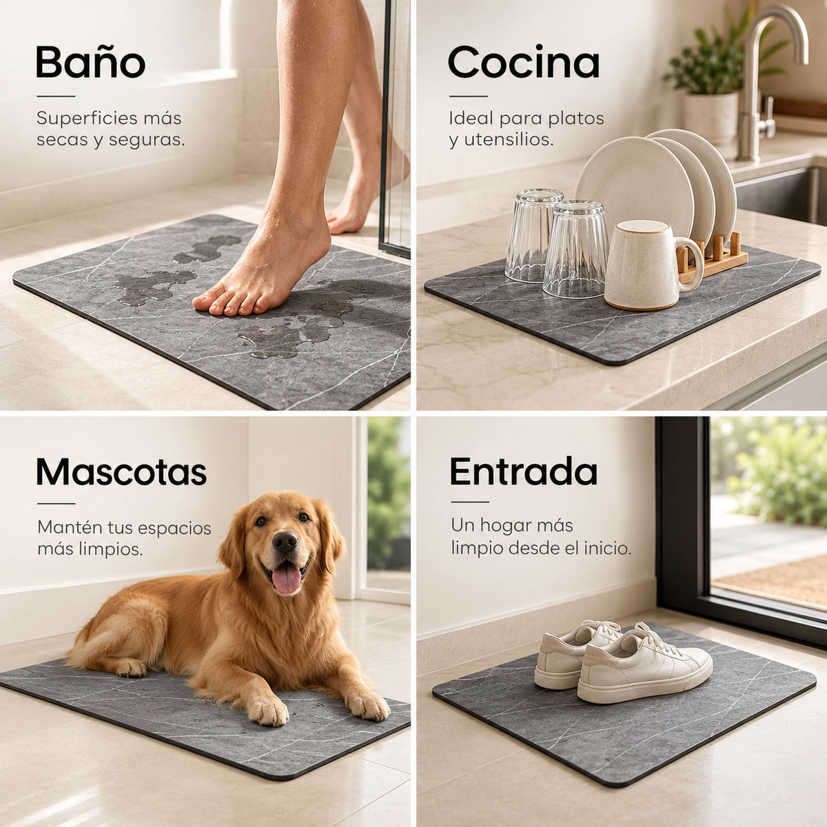 AquaPiedra: Absorción rápida para mantener tus espacios siempre secos